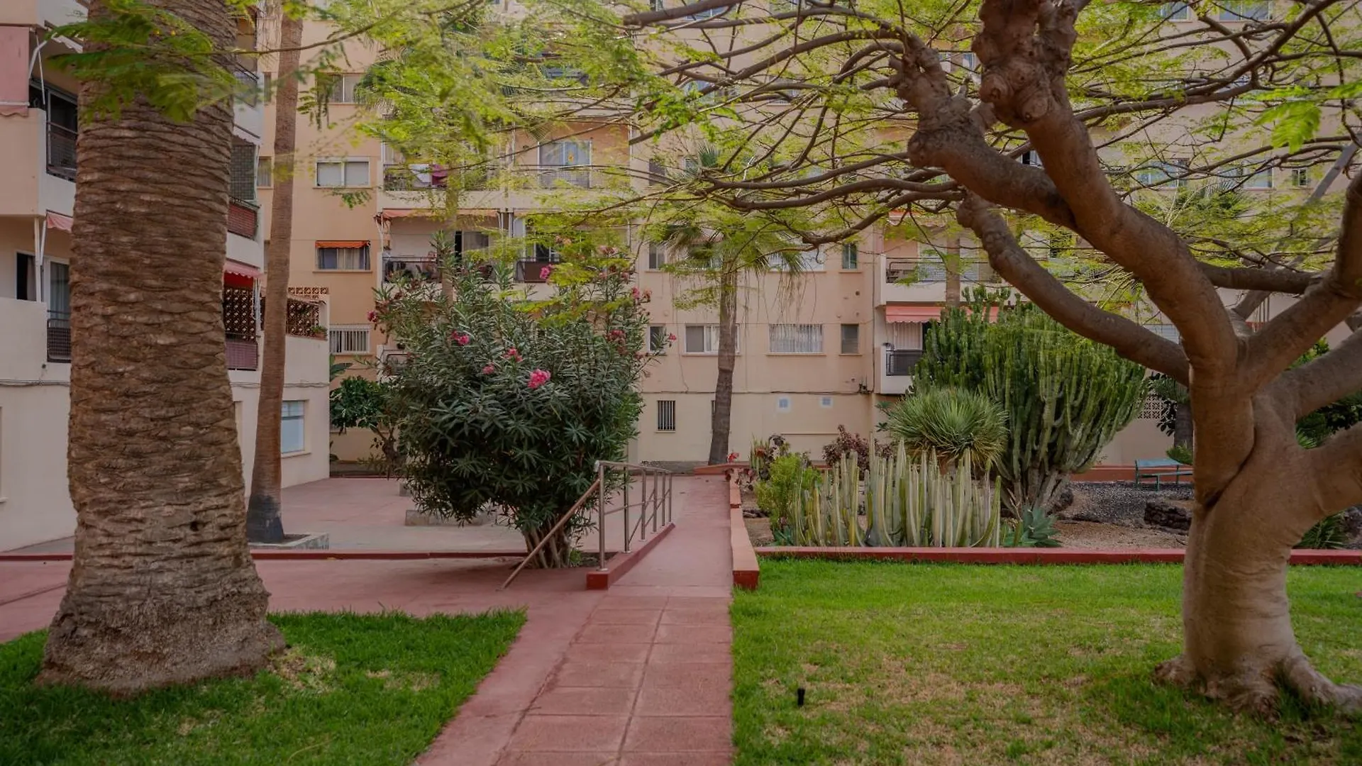 Los Cristianos Central Apartment - Cris Sol  Los Cristianos (Tenerife)