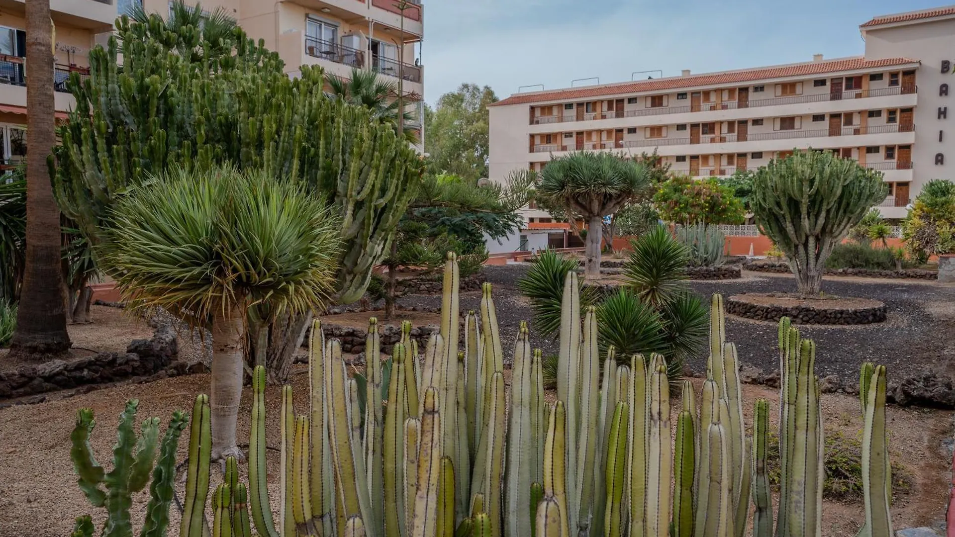 Los Cristianos Central Apartment - Cris Sol Spain